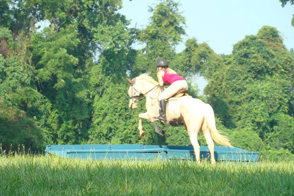 About Me Renaissance Farmstead