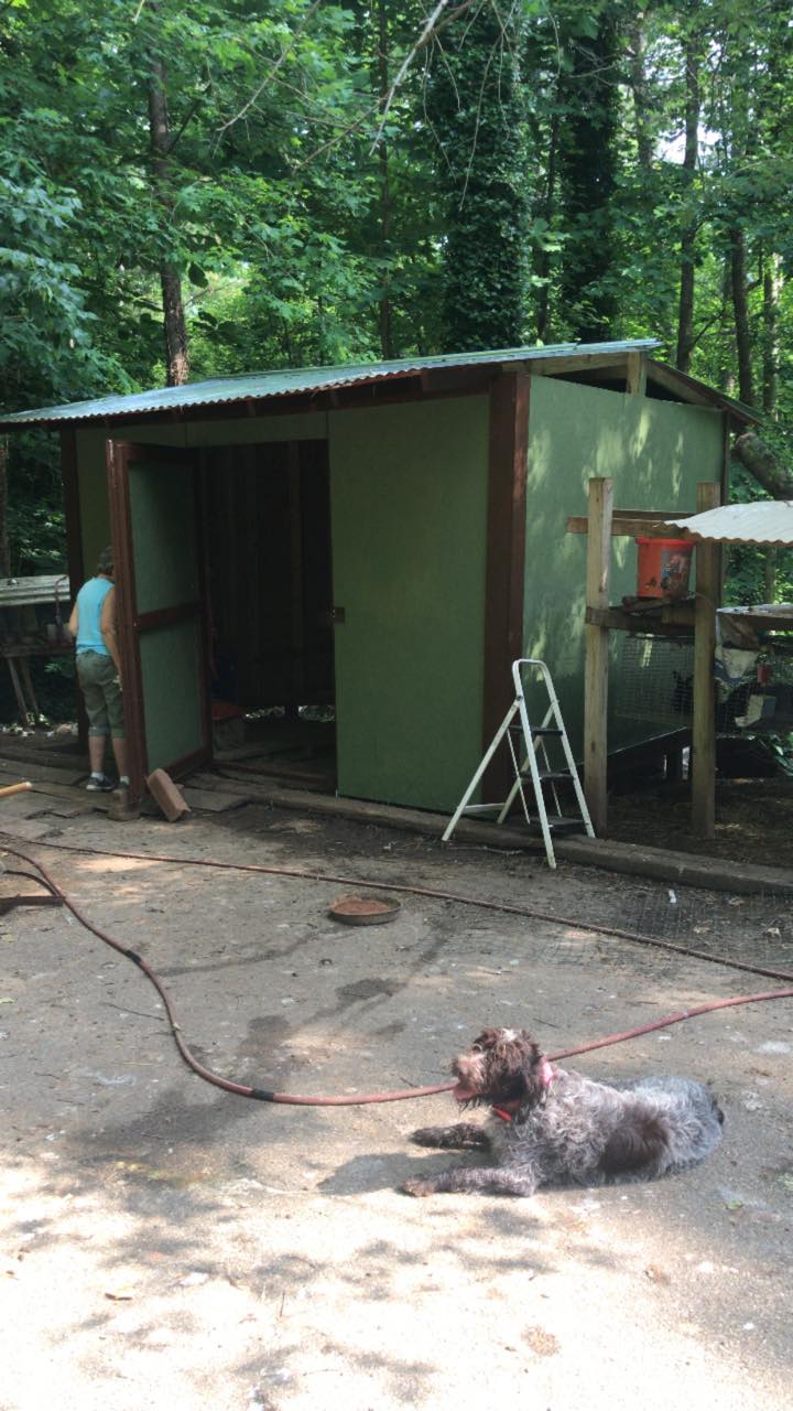 Farm Happenings Renaissance Farmstead